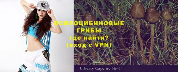 таблы Дмитриев