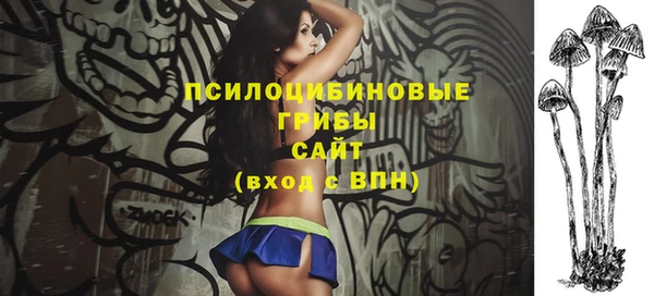 не бодяженный Алексин